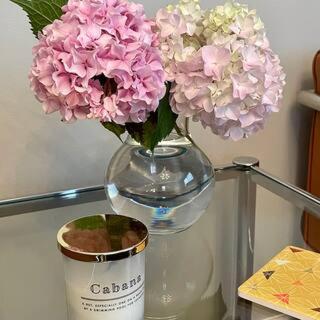 Pittsford Garden Retreat Apartment Bagian luar foto